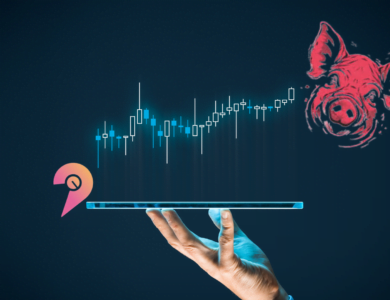 memecoin White Yorkshire (WSH) dispara