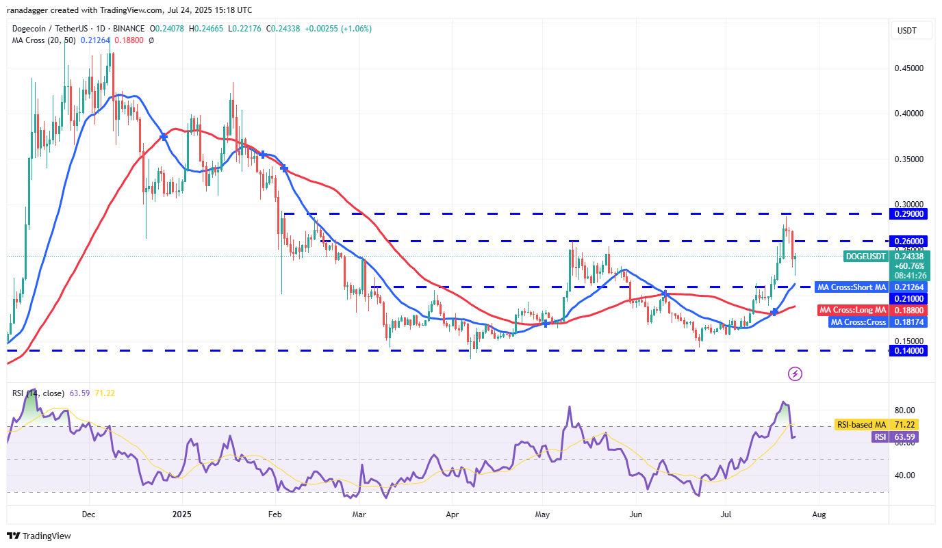 Gráfico diário DOGE/USDT