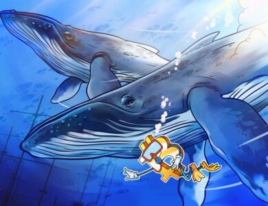 A baleia Bitcoin da era Satoshi move metade de seu estoque