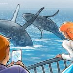 Baleia Bitcoin da Era Satoshi transfere o último da pilha para a Galaxy Digital