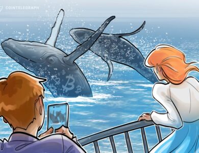 Baleia da Era Satoshi transfere US$ 4,6 bilhões em Bitcoin após 14 anos de HODL