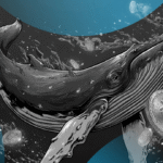 Imagem da matéria: Baleia de Bitcoin saca R$ 51 bilhões, uma das maiores vendas da história