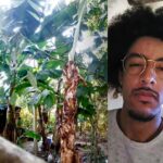 Brasileiro mora na floresta enquanto acumula bitcoin