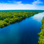 Imagem da matéria: Moss: Empresa de criptomoeda verde teve negócios com grileiro preso pela PF