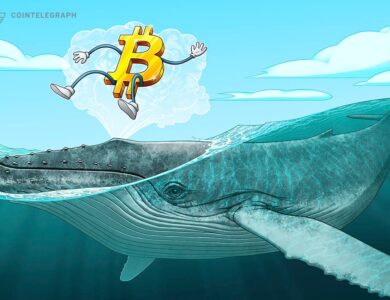 Comentário de OGs do Bitcoin 'abalado pela fé' gera debate acalorado na comunidade