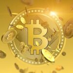 desenvolvedor-do-bitcoin-core