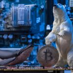 Investidor é liquidado em R$ 500 milhões apostando contra o Bitcoin