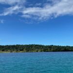 Projeto de NFT que queria habitar ilha suspende atividades