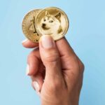 "Comprei tudo em Dogecoin há seis meses e não tenho como pagar aluguel", diz trader desapontado