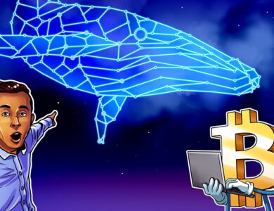 Transferência de US$ 9 bilhões de baleia de Bitcoin e Lei Genius levantam preocupações sobre correção