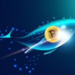 Ilustração de baleia nadando com moeda de bitcoin em seu interior