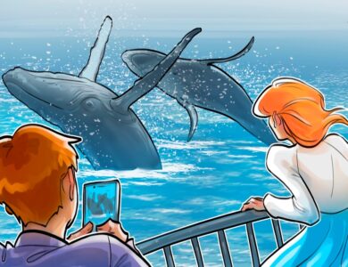 Baleias da Hyperliquid lucram US$ 48 milhões com rali de 200% do XPL em meio a alegações de manipulação