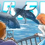 Baleias do Bitcoin compram Ether após preço do ETH atingir novos recordes