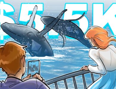 Baleias do Bitcoin compram Ether após preço do ETH atingir novos recordes