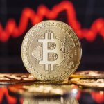 Saori Honorato avatar