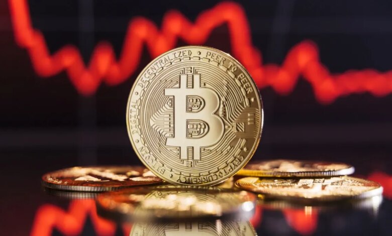 Saori Honorato avatar