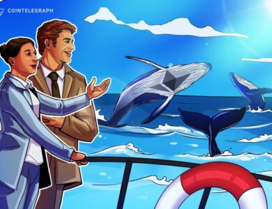 US$ 882 milhões em ETH arrematados pela Bitmine e por baleia