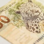 Brasileiros preferem 50 reais a 0.001 bitcoin em experimento social