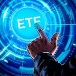 Emissores de ETFs devem considerar criptomoedas com cuidado, diz CEO da REX