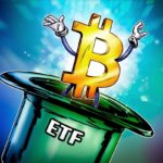 As 5 criptomoedas mais compradas pelos brasileiros, aponta Webull