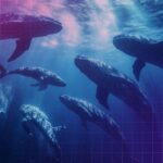 Cotação do ETH sobe 20% e acorda baleias misteriosas