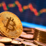 Rodrigo Tolotti avatar