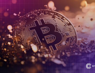 Bull run do BTC pode não ser sustentável, alerta especialista