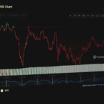 Liquidações pressionam mercado, mas BTC e ETH seguem com força estrutural