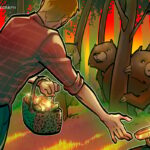 O próximo mercado de baixa das criptomoedas pode demorar anos