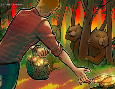 O próximo mercado de baixa das criptomoedas pode demorar anos