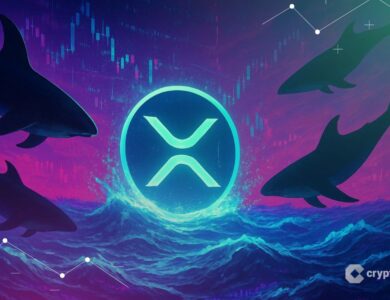 XRP