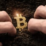 simulação do Último Bitcoin desenterrado