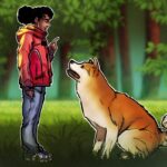 Dados técnicos do preço da Dogecoin sugerem uma meta de preço de US$ 0,12 em meio à distribuição de baleias