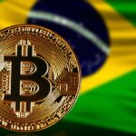 Rodrigo Tolotti avatar