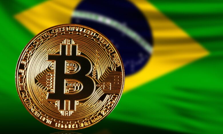 Rodrigo Tolotti avatar