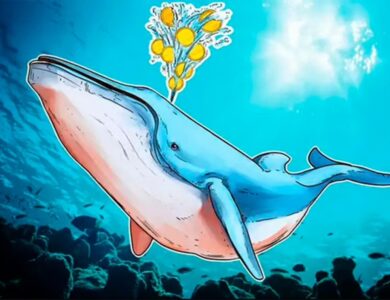 6 criptomoedas nas águas das baleias para ficar de olho