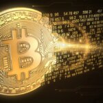 Rodrigo Tolotti avatar