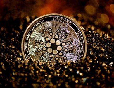 Cardano hoje