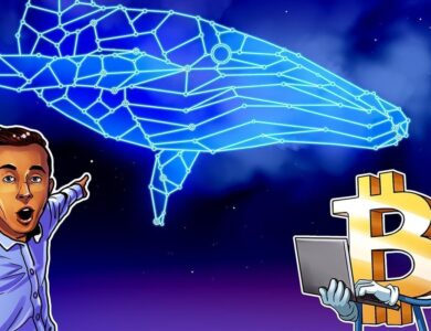 Risco de Bitcoin cair para US$ 105 mil no Dia do Trabalho aumenta