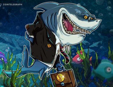 Bitcoin foi uma "compra" firme para os tubarões na semana passada