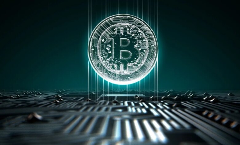 Saori Honorato avatar