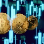 Rodrigo Tolotti avatar