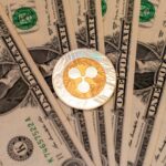 CME Group vai lançar opções sobre contratos futuros de Solana e XRP