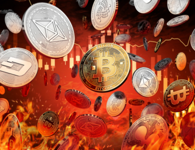 Rodrigo Tolotti avatar