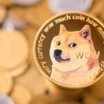 Empresa lança tesouraria de Dogecoin (DOGE); ações despencam