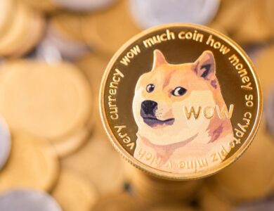 Empresa lança tesouraria de Dogecoin (DOGE); ações despencam