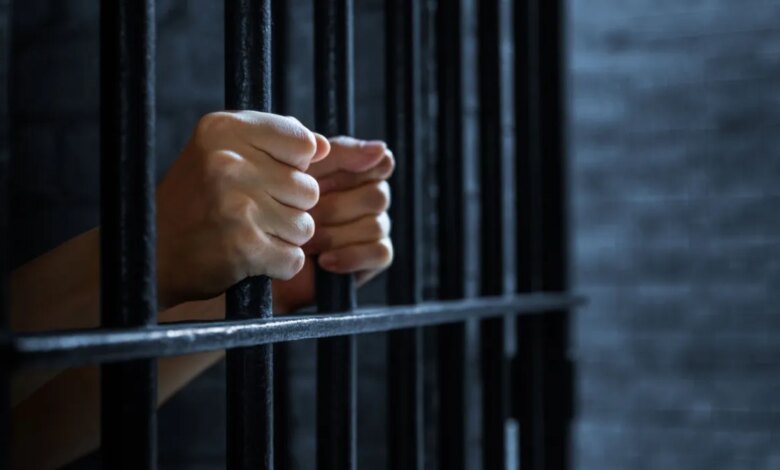 Rodrigo Tolotti avatar