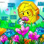 Liquidações de Bitcoin atingem recorde de 1 ano e altcoins acompanham