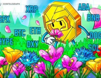 Liquidações de Bitcoin atingem recorde de 1 ano e altcoins acompanham