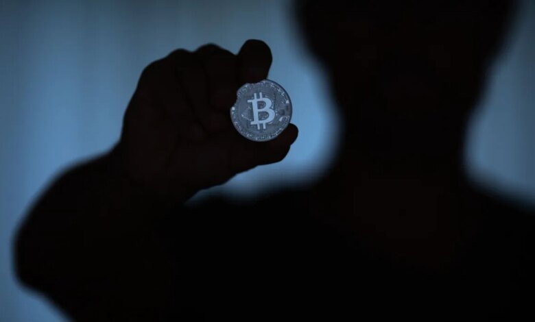 Rodrigo Tolotti avatar